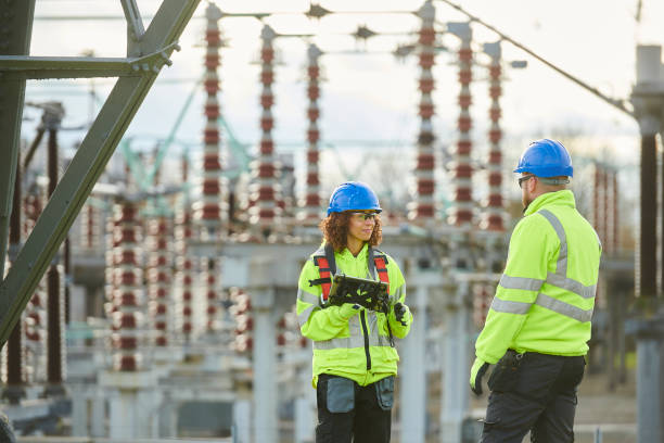 Best Affordable Electrician  in Waverly, MN